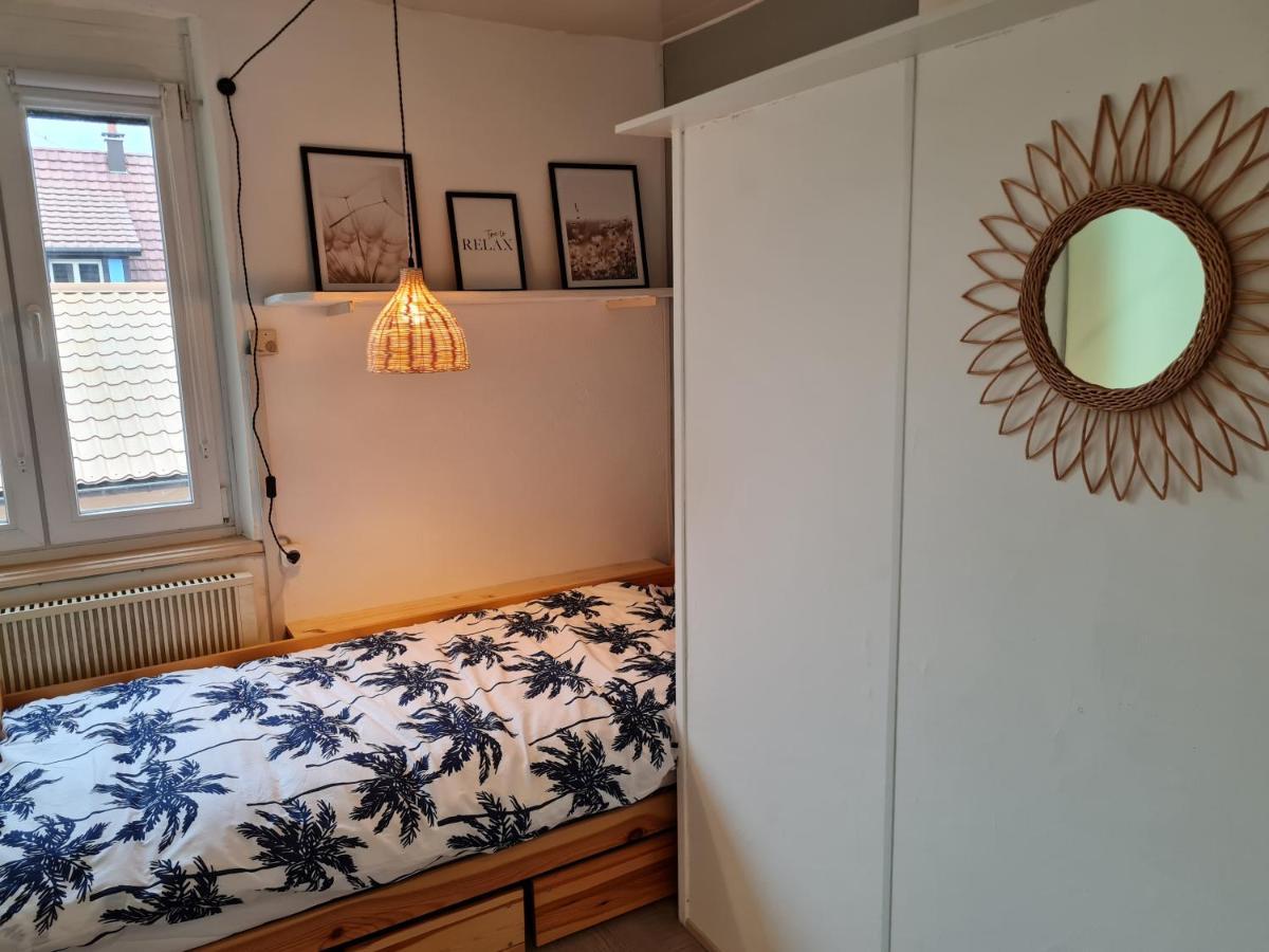 Apartamento Les Chouchous Du Ried 2 Saasenheim Exterior foto