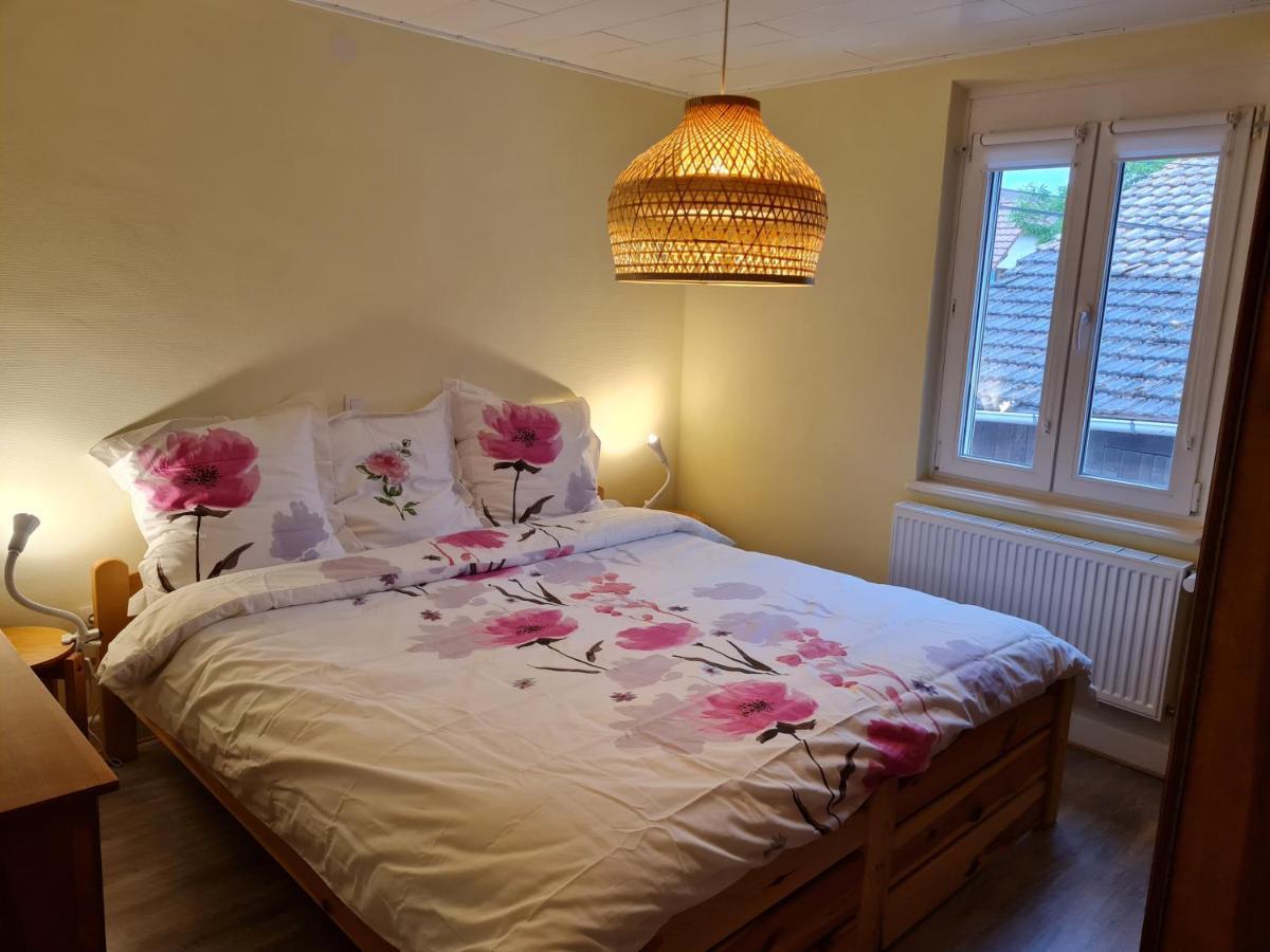 Apartamento Les Chouchous Du Ried 2 Saasenheim Exterior foto